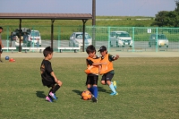 IMG_1317_R_R