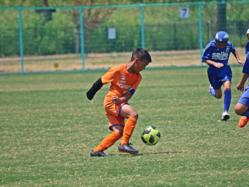 IMG_0323_R_R