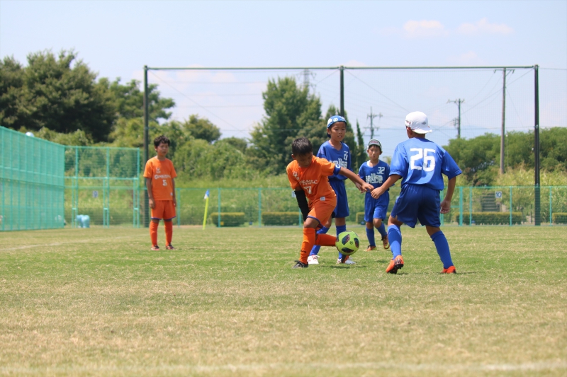 IMG_0392_R_R