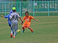 IMG_0337_R_R