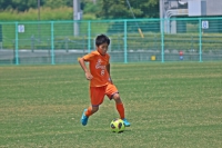 IMG_0342_R_R