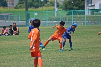 IMG_0346_R_R