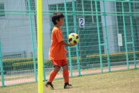 IMG_0381_R_R