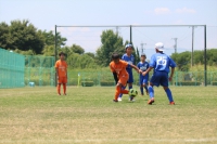 IMG_0392_R_R