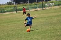 IMG_0931_R_R