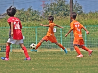IMG_6603_R_R