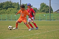 IMG_6666_R_R