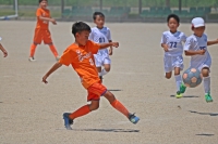 IMG_1584_R_R