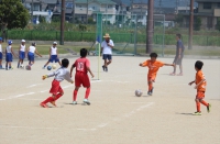 IMG_6850_R_R