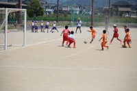 IMG_6852_R_R