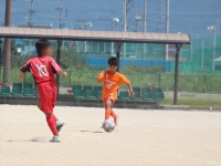 IMG_7011_R_R