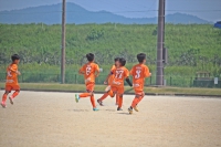 IMG_7031_R_R