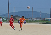 IMG_7040_R_R