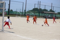 IMG_7133_R_R