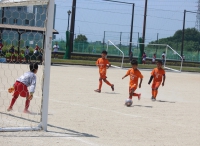 IMG_7135_R_R