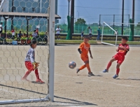 IMG_7160_R_R