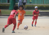 IMG_7238_R_R