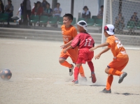 IMG_7263_R_R