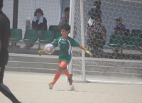 IMG_7279_R_R