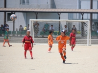 IMG_7330_R_R