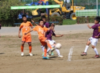 IMG_2602_R_R