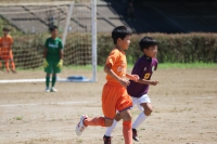IMG_2626_R_R