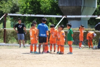 IMG_2774_R_R