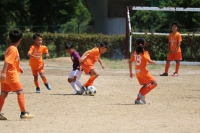 IMG_2944_R_R
