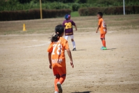 IMG_7533_R_R