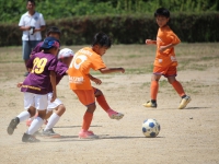 IMG_7847_R_R