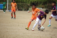 IMG_7866_R_R