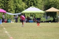 IMG_2988_R_R