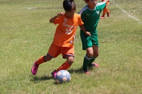 IMG_3278_R_R