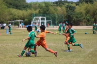 IMG_3312_R_R