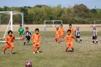 IMG_3424_R_R