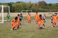 IMG_3426_R_R