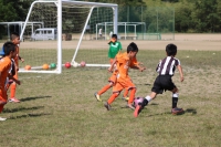 IMG_3439_R_R
