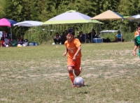 IMG_8229_R_R