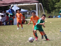 IMG_8286_R_R