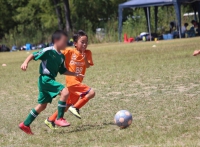 IMG_8288_R_R