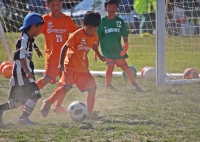 IMG_8318_R_R