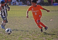 IMG_8320_R_R