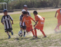 IMG_8333_R_R