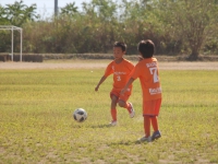 IMG_8342_R_R