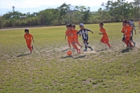 IMG_8387_R_R