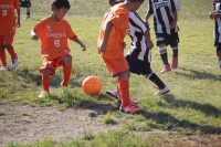 IMG_8422_R_R