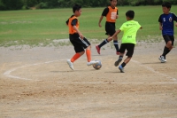 IMG_3601_R_R