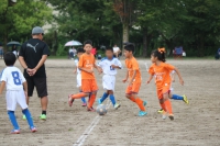 IMG_3985_R_R
