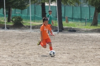 IMG_4013_R_R