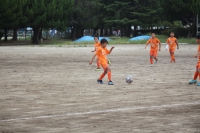 IMG_8540_R_R